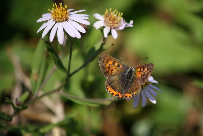 �x�j�V�W�~