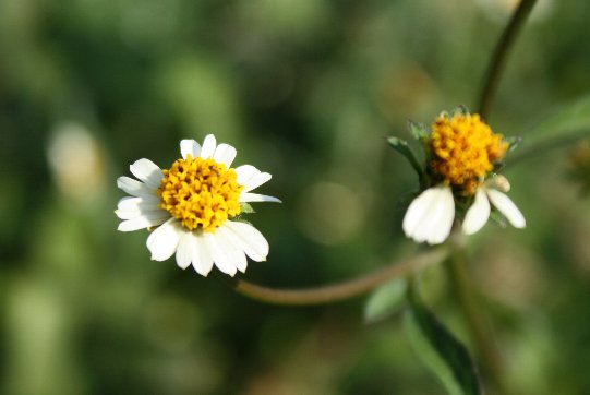 �R�Z���_���O�T