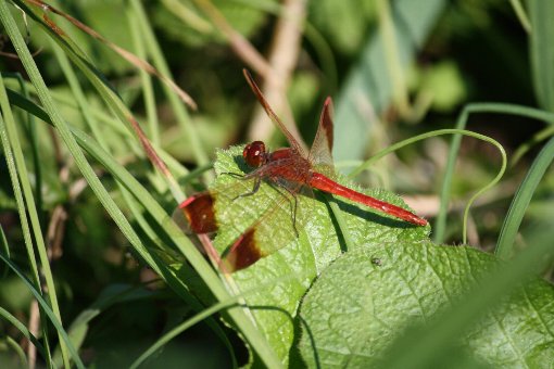 �~���}�A�J�l