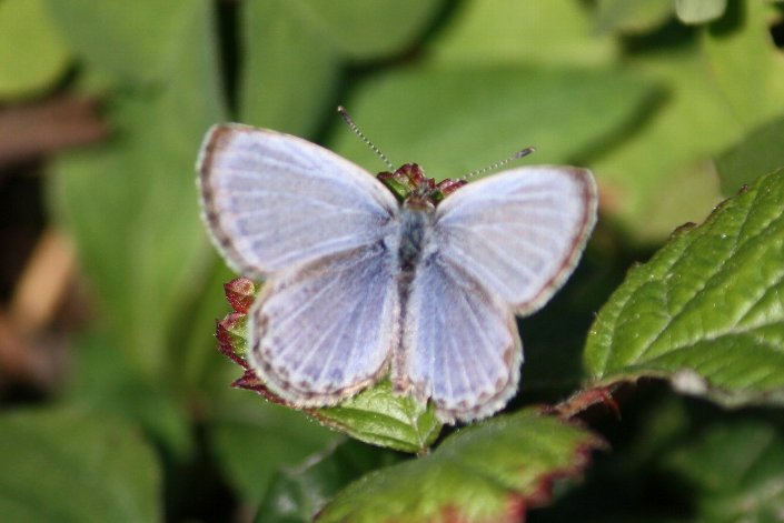 ���}�g�V�W�~