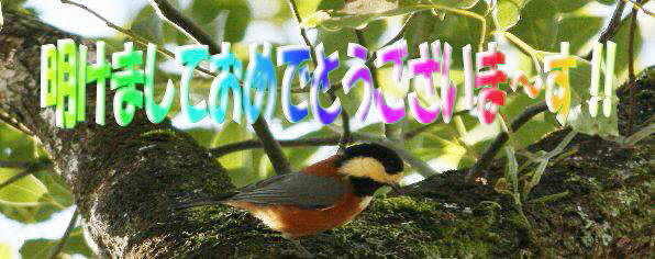 ���N���X�������肢���܁`��