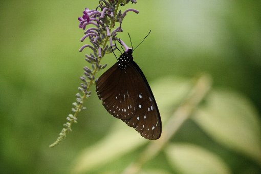 �c�}�����T�L�}�_����