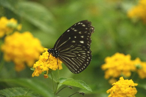 �c�}�����T�L�}�_����