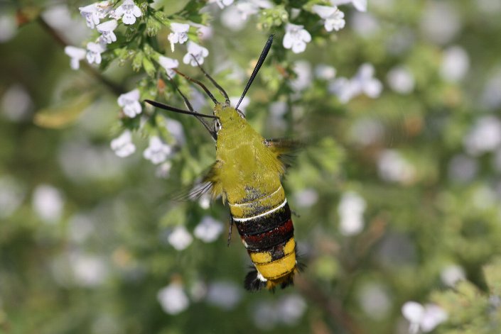 �I�I�X�J�V�o