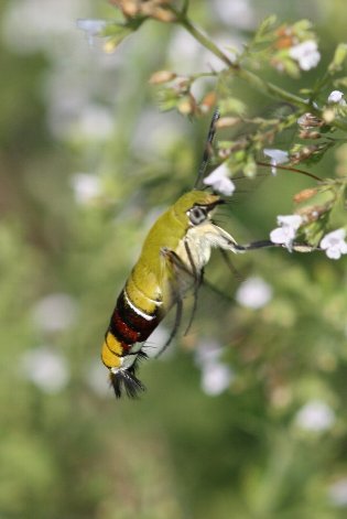 �I�I�X�J�V�o