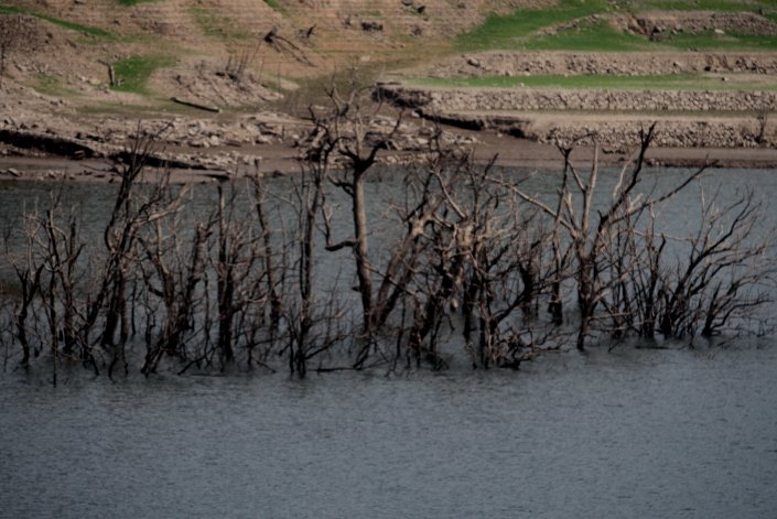 �͂�؂����̓��킢�H