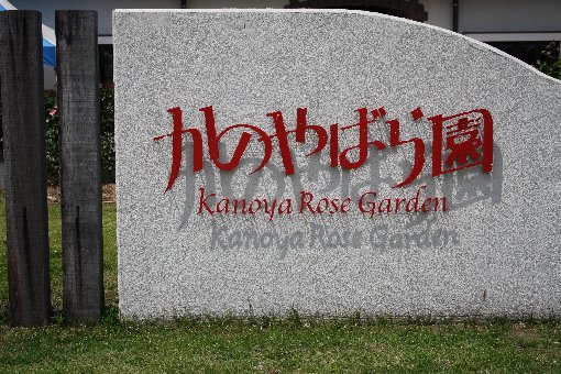 �����o����