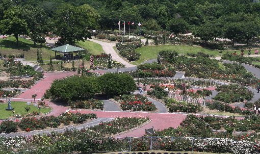 �����o����