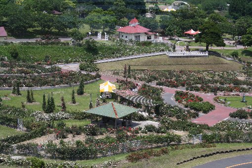 �����o����