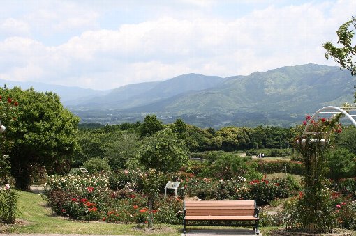 �����o����