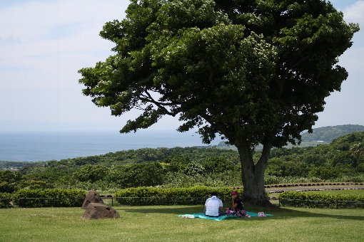 �����o����