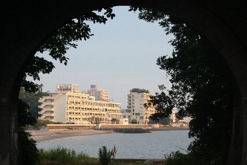 �g���l������p�`��