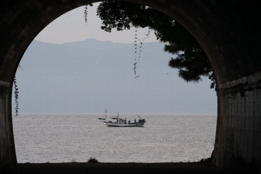 �g���l������p�`��