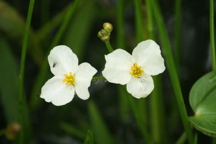 �E���J��