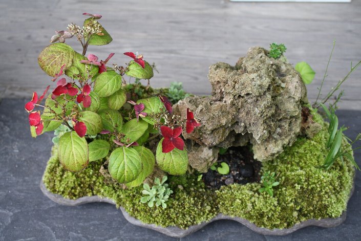 ������̎R�A�W�T�C