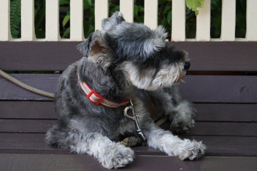 ���т̒�����