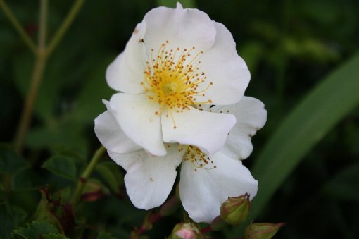 �Ɨt���K�N