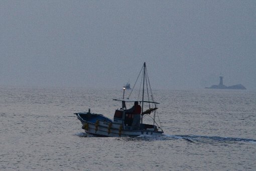 ���D�Ɣ��Γ���