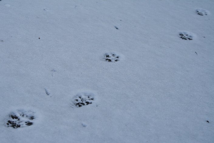 �^�k�L�̑���