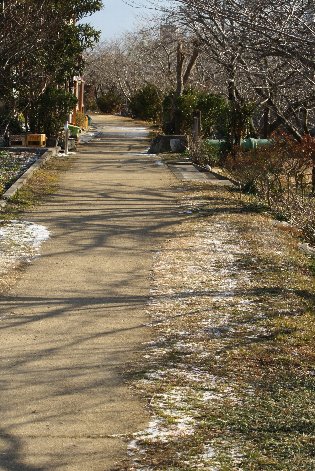 �ǂ�ǂ��̓y��ɐႪ