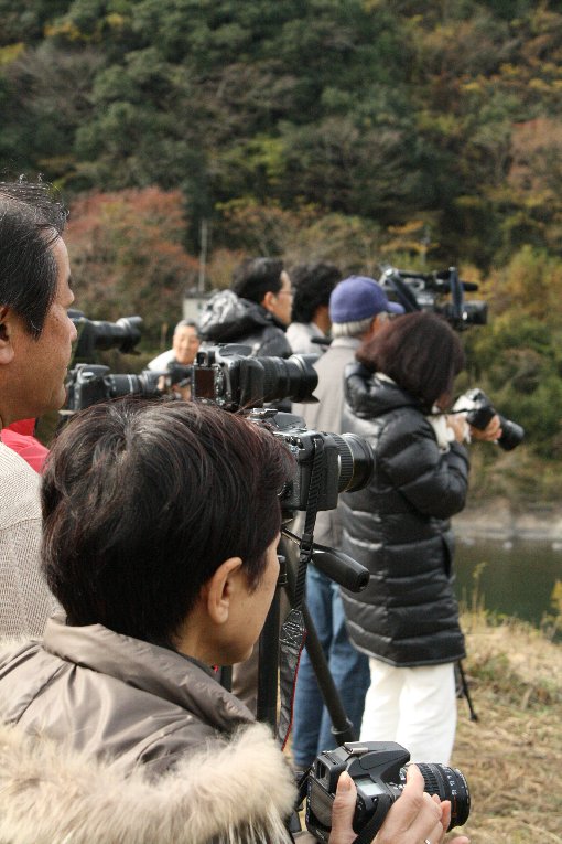 �Ԃ񂲂̘@�u���������]