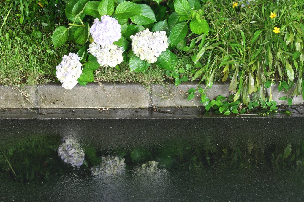 �����܂�