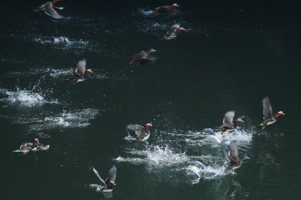 �u�G�b�@�Ȃ񂩋�������H�v�@�@�u����l�`���v