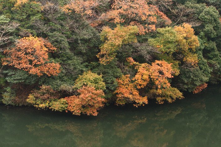 �]�_���̍g�t