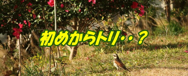 ���߂���g���E�E�H 