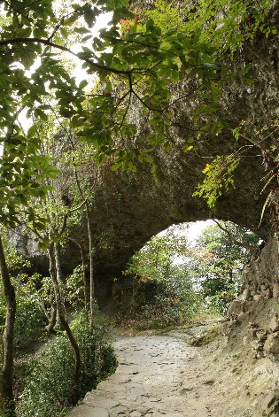 �ŏ��̓���