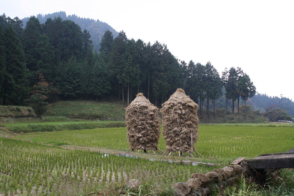 �u�m���Â݂̂��镗�i�v