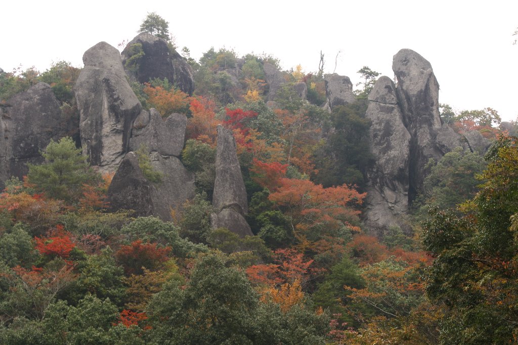 �W���i��܊�j