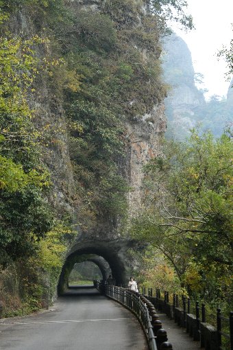 �g���l���Ɗ��