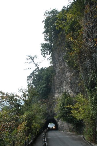 �g���l���Ɗ��