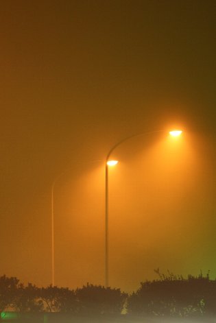 �閶�捡������肪�Ƃ�