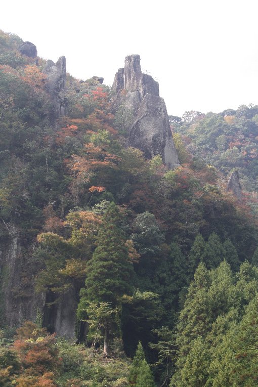 ��ڔ��i�W�]����