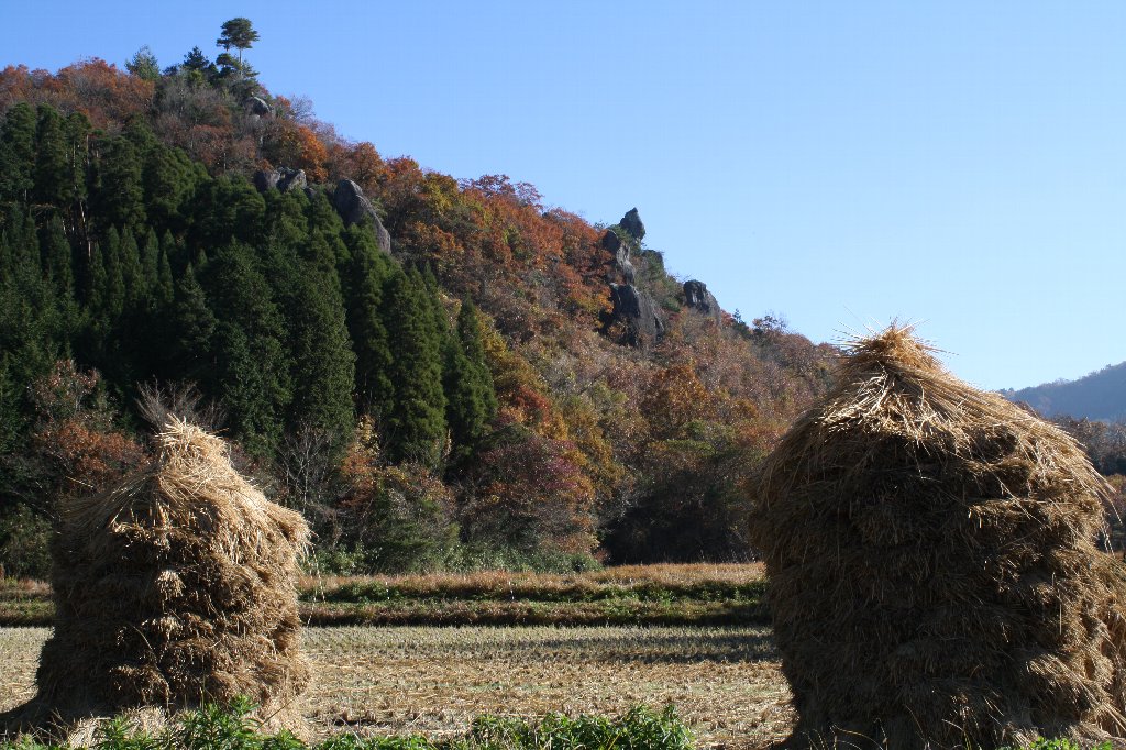 �m�����݂Ɗ��