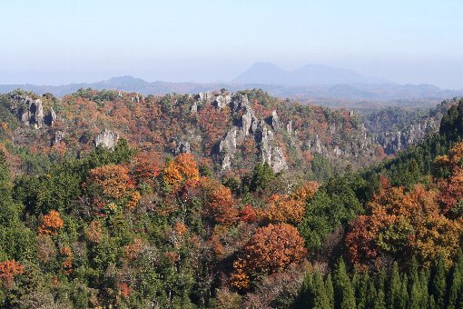 �Y��Ȓ���