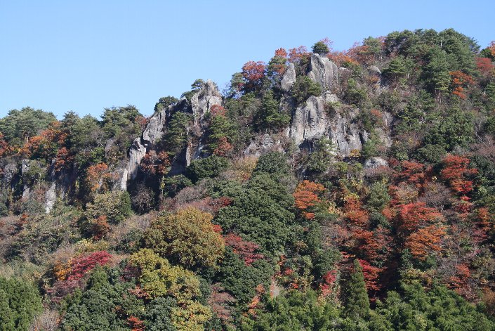 ���o���勴����