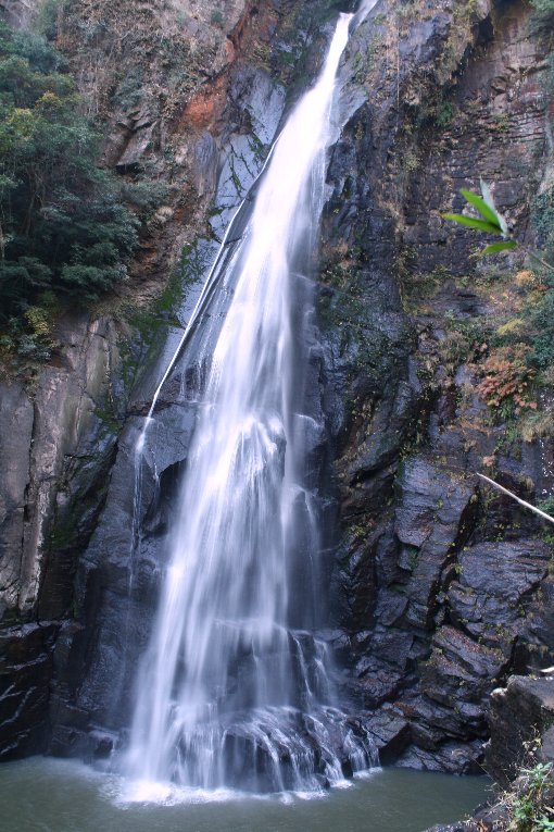 ���ŉ��̑�