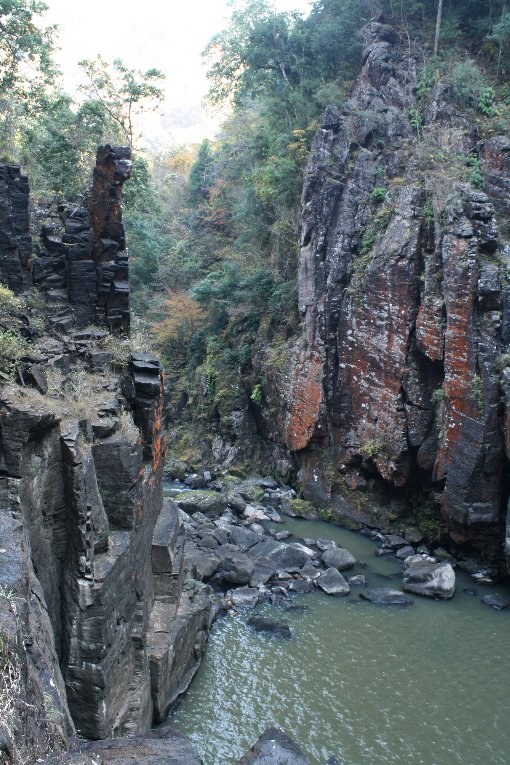 ���ŉ��̑ꐳ��