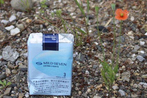 �悿�悿�|�s�[