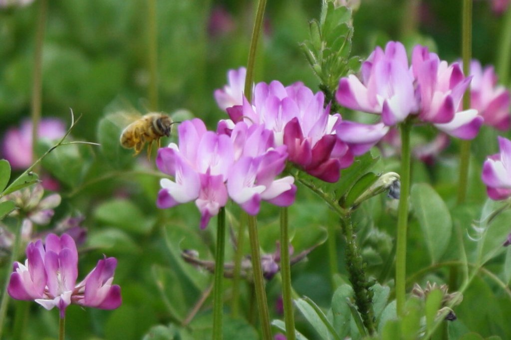 �����Q�\�E