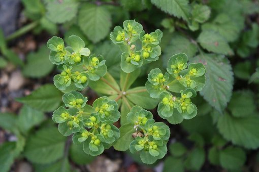 �Ƃ���������