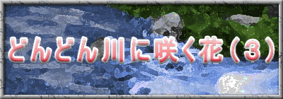 �ǂ�ǂ��ɍ炭�ԁi�R�j 