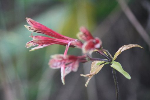 �^�C�����z�g�g�M�X�\�E