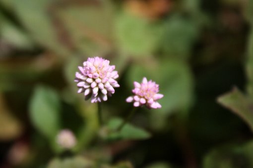 �q���c���\�o