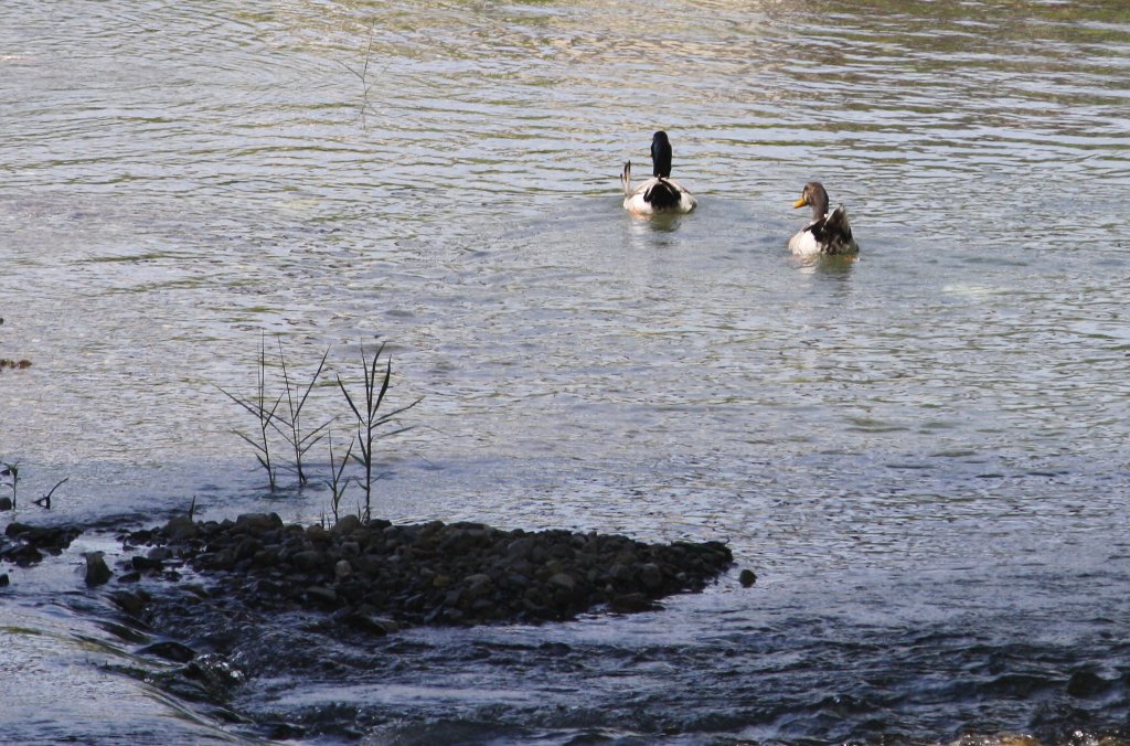 ������������