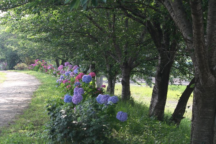 ���z�ԃ��[�h