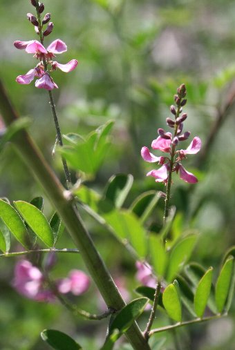 �R�}�c�i�M